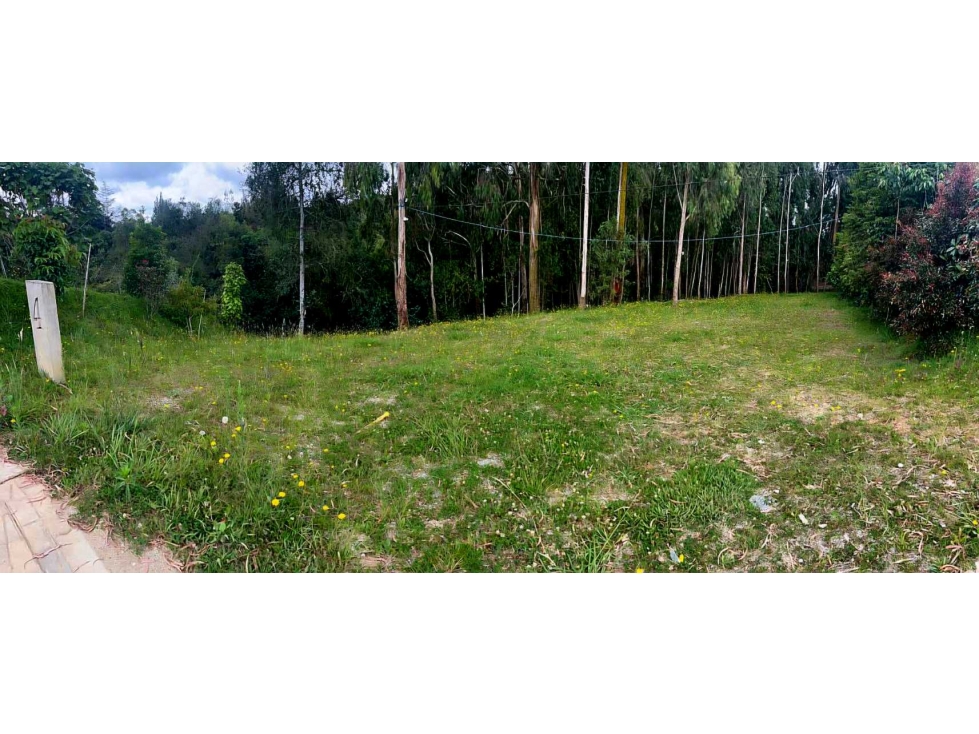 VENTA LOTES URBANIZADOS ALTO DE LAS PALMAS ENVIGADO SECTOR INDIANA — foto 6