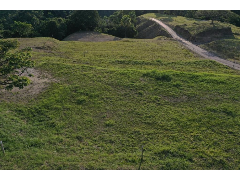 VENTA LOTE,VÍA,PEREIRA,CARTAGO,COLOMBIA — foto 3