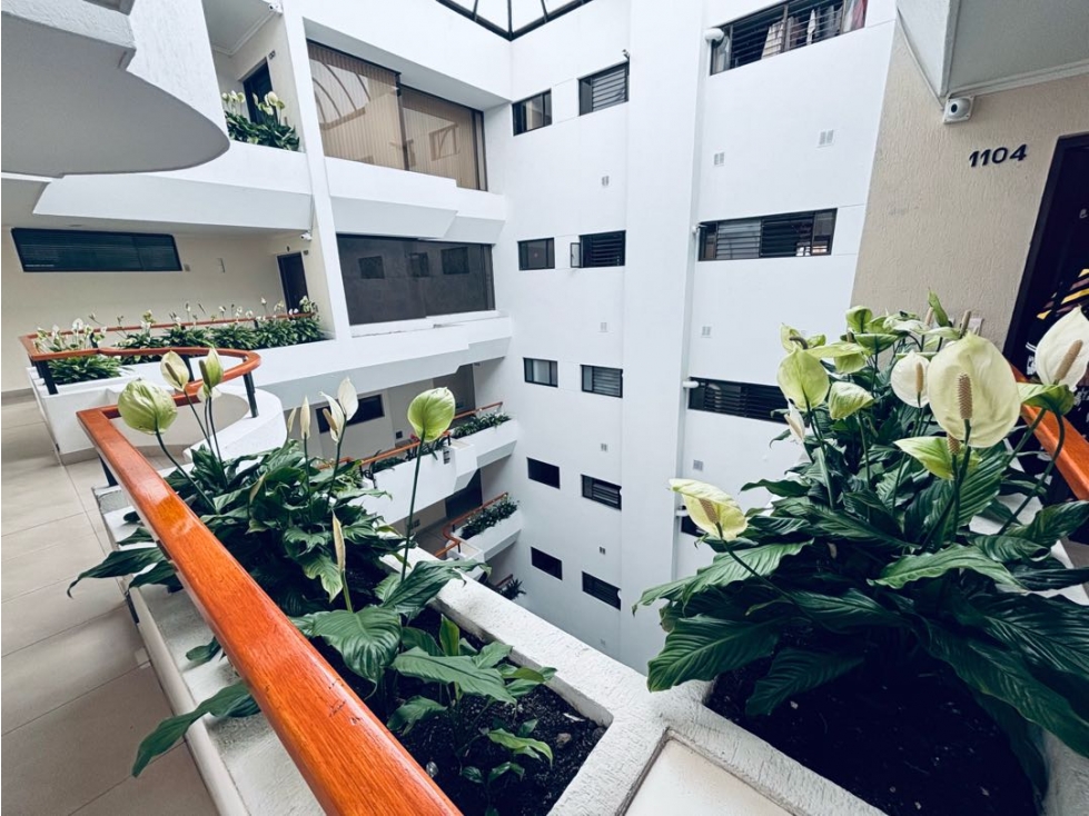VENTA APARTAMENTO 300m2 REMODELADO EXTERIOR COUNTRY CLUB — foto 6