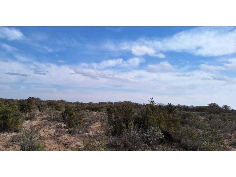 VENTA O PERMUTA DE CAMPO 50 HAS EN LAS CATITAS- SANTA ROSA - 3