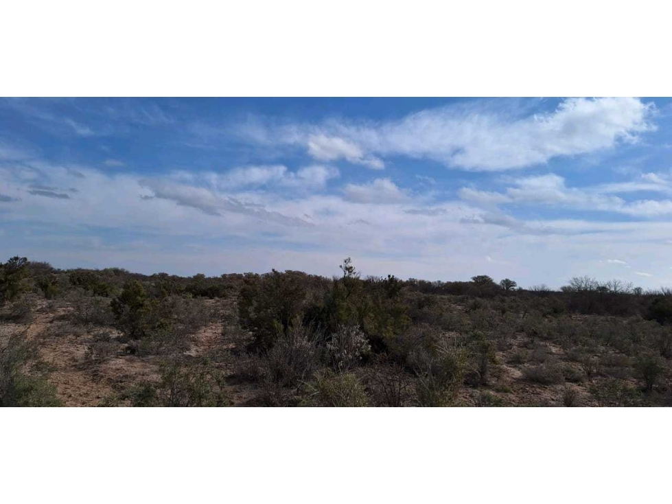 VENTA O PERMUTA DE CAMPO 50 HAS EN LAS CATITAS- SANTA ROSA - 4
