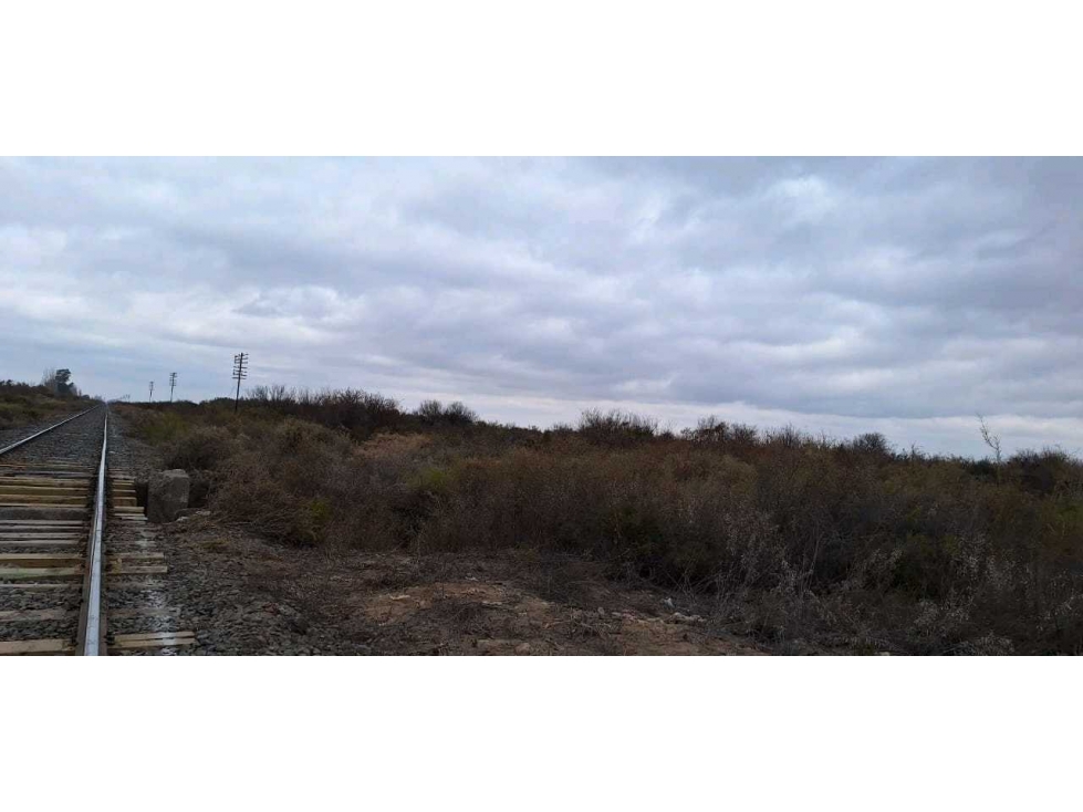 VENTA O PERMUTA DE CAMPO 50 HAS EN LAS CATITAS- SANTA ROSA - 5