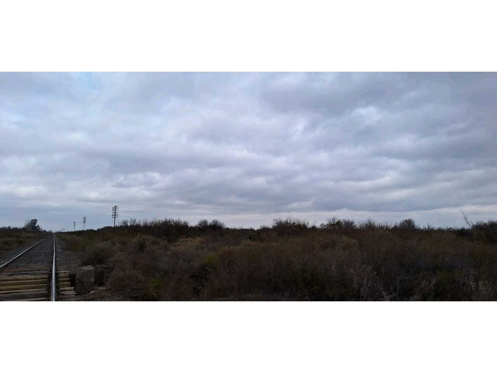 VENTA O PERMUTA DE CAMPO 50 HAS EN LAS CATITAS- SANTA ROSA - 6