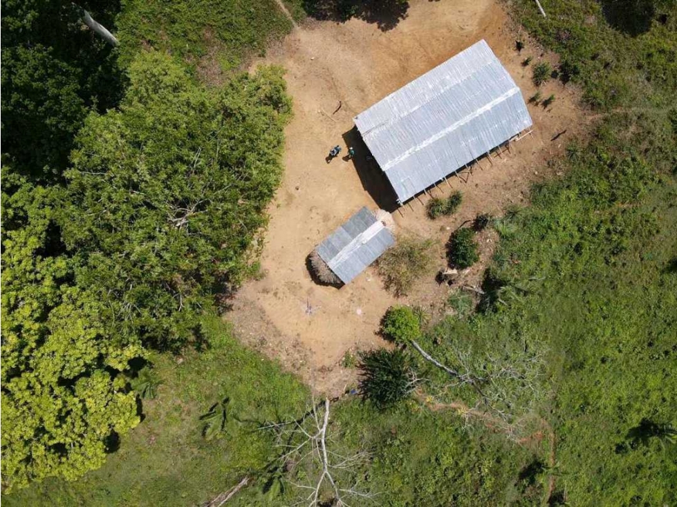 Venta o permuta de finca de 44 hectáreas Carmen de Bolívar - 6