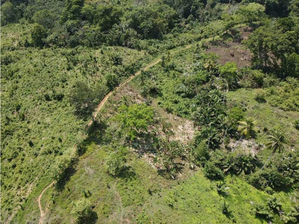 Venta o permuta de finca de 44 hectáreas Carmen de Bolívar - 1