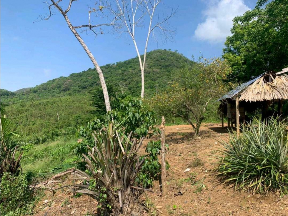 Venta o permuta de finca de 44 hectáreas Carmen de Bolívar - 4