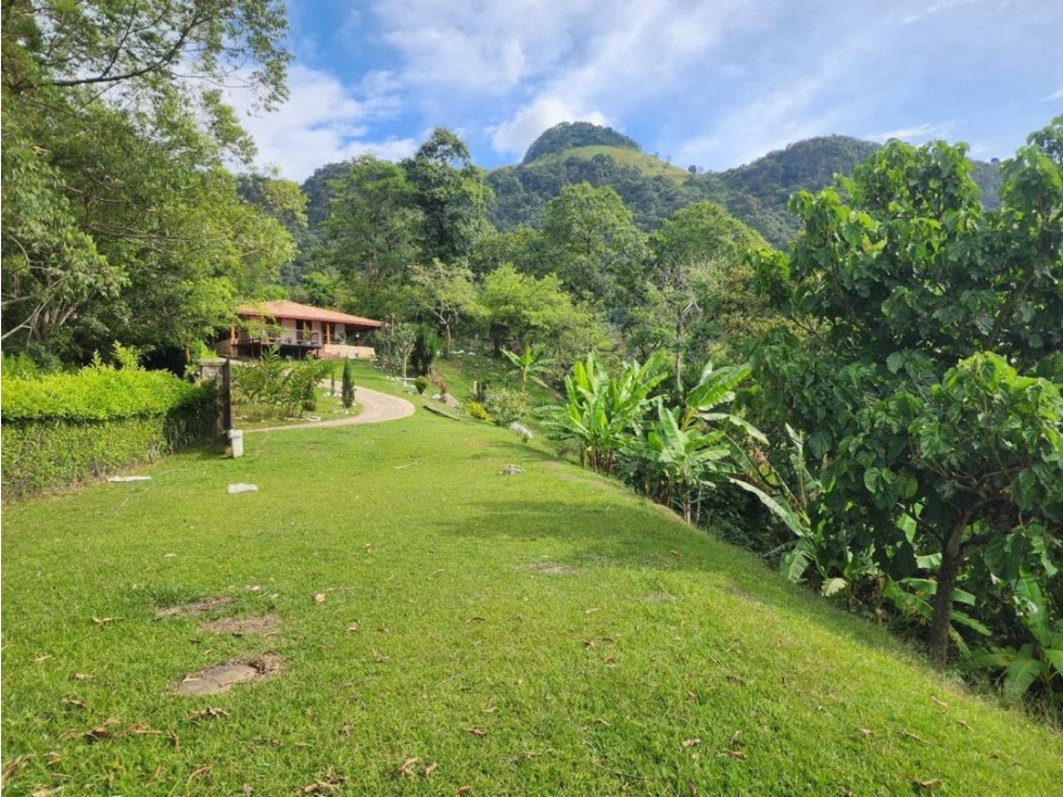 Venta o permuta de hermosa FINCA en VENECIA- Antioquia — foto 3