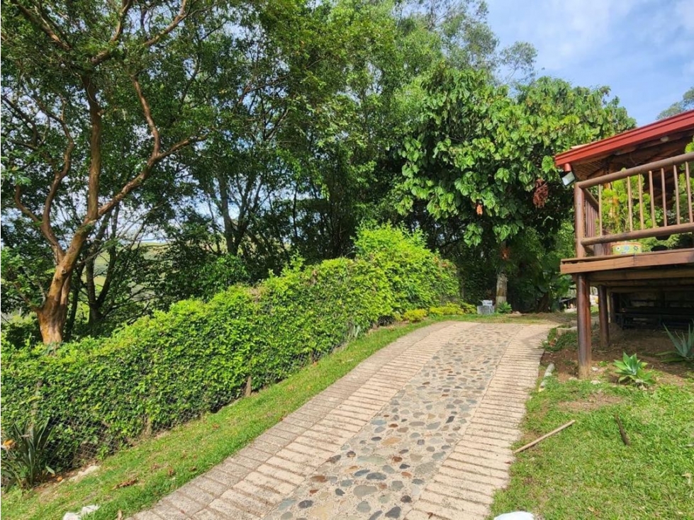 Venta o permuta de hermosa FINCA en VENECIA- Antioquia — foto 6