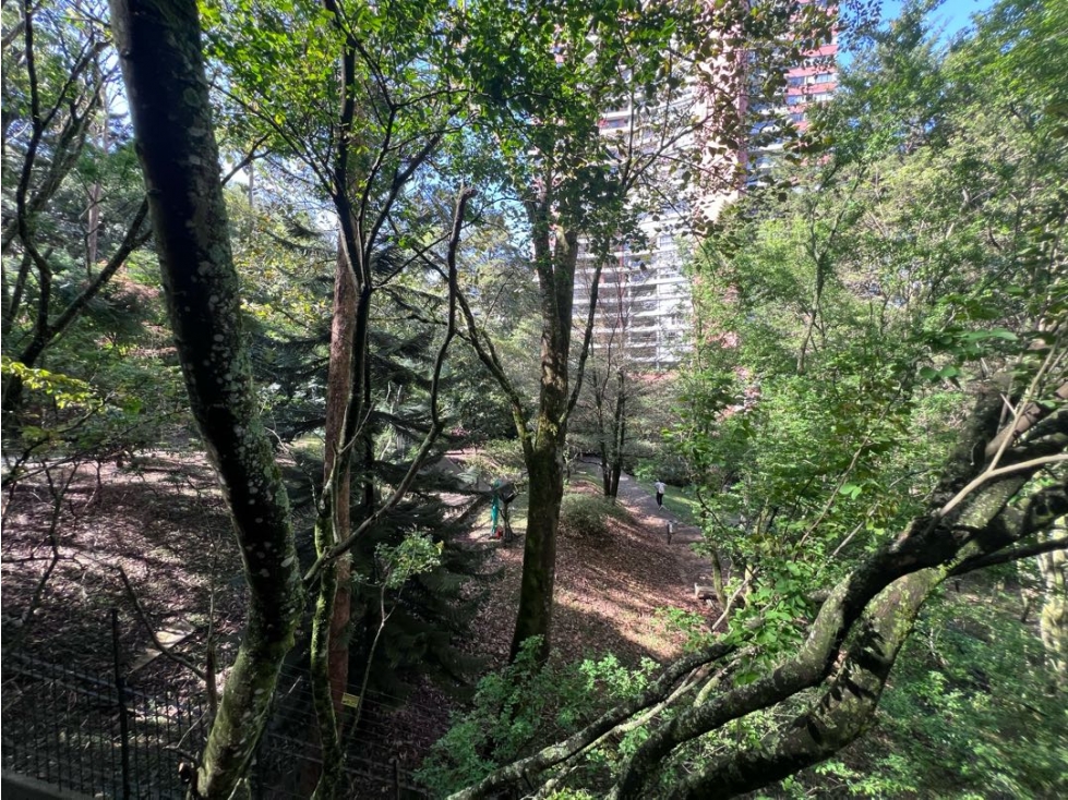 VENTA O RENTA PISO BAJO CON TERRAZA VISTA A VERDE EN LA COLA DEL ZORRO — foto 5