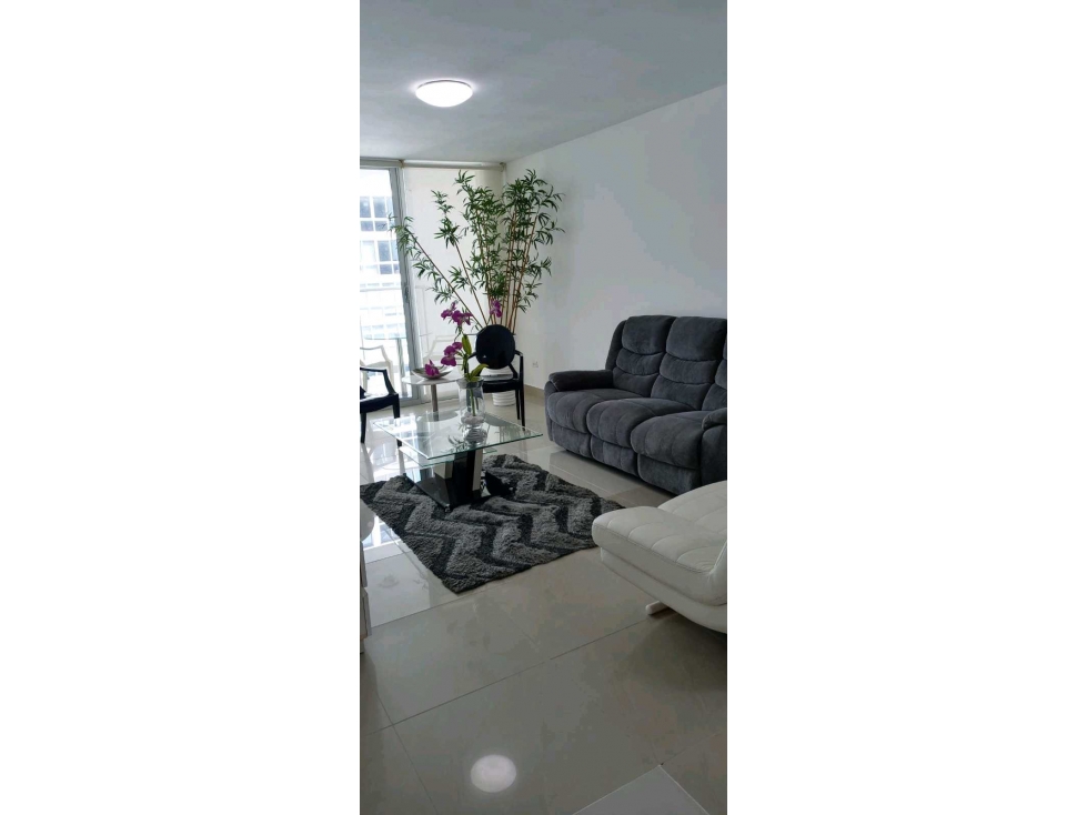 VENTA PARTAMENTO AMOBLADO EN AVENIDA BALBOA 3 RECAMARAS LT — foto 5