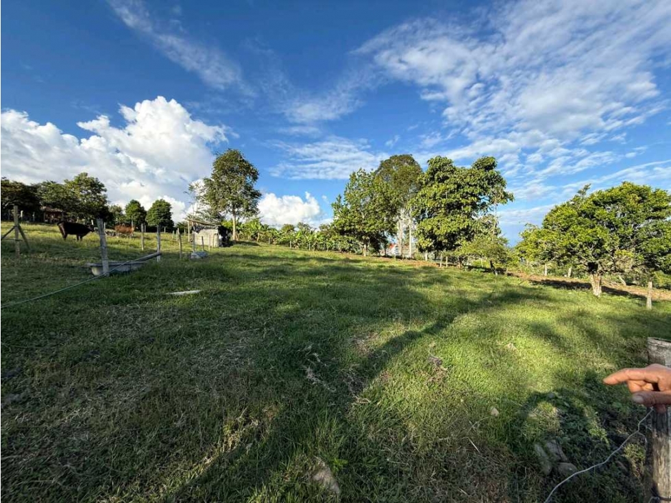 VENTA PODEROSO LOTE 5.550MTS2 CALIMA EL DARIEN VALLE DEL CAUCA (JHC) - 1