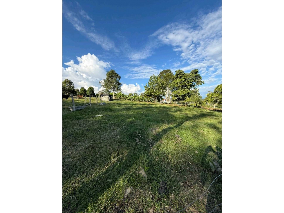VENTA PODEROSO LOTE 5.550MTS2 CALIMA EL DARIEN VALLE DEL CAUCA (JHC) - 2