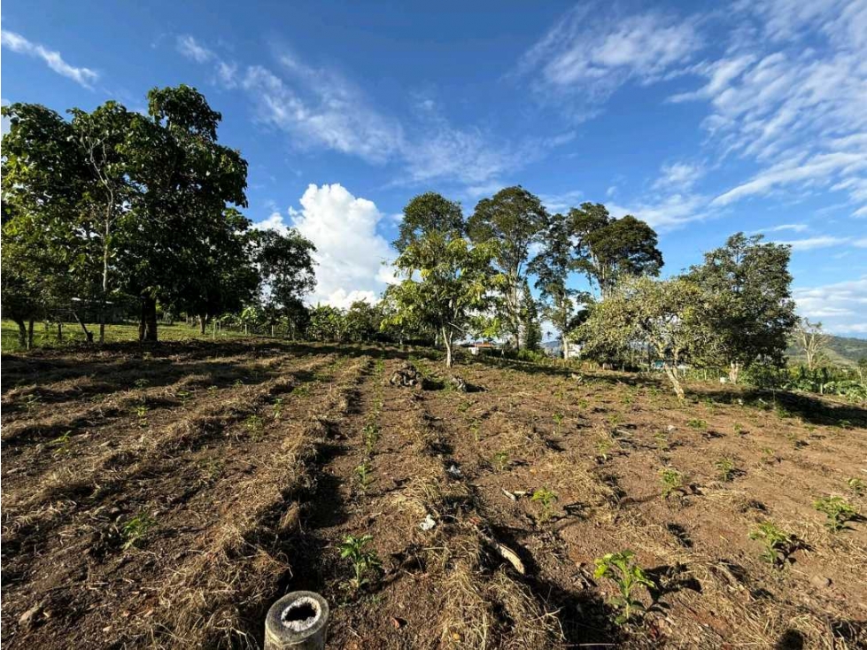 VENTA PODEROSO LOTE 5.550MTS2 CALIMA EL DARIEN VALLE DEL CAUCA (JHC) - 3