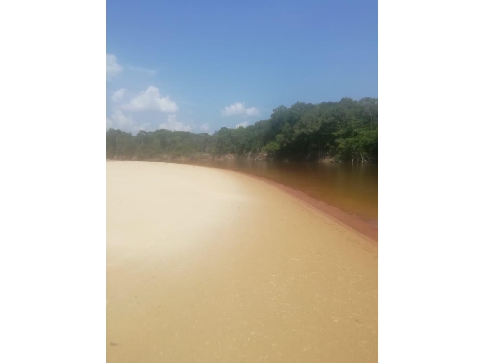 VENTA PUERTO GAITAN META FINCA 900ha. $8.100 M - 5