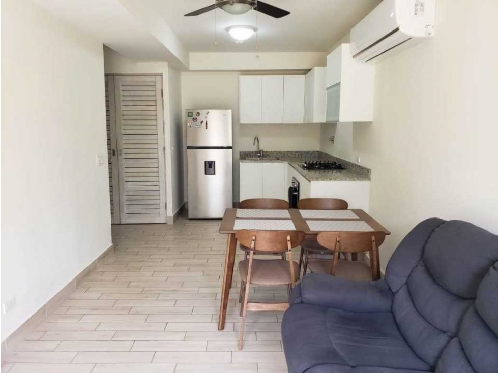 VENTA DE APARTAMENTO EN PLAYA CARACOL PUNTA CHAME, NUEVO - 2