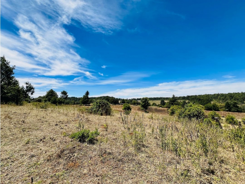 VENTA RANCHO CON AGUA DE MANANTIAL | PINAL DE OSORIOS — foto 3