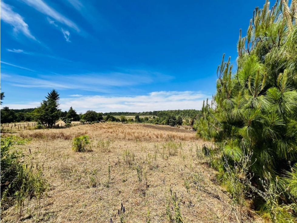 VENTA RANCHO CON AGUA DE MANANTIAL | PINAL DE OSORIOS — foto 4