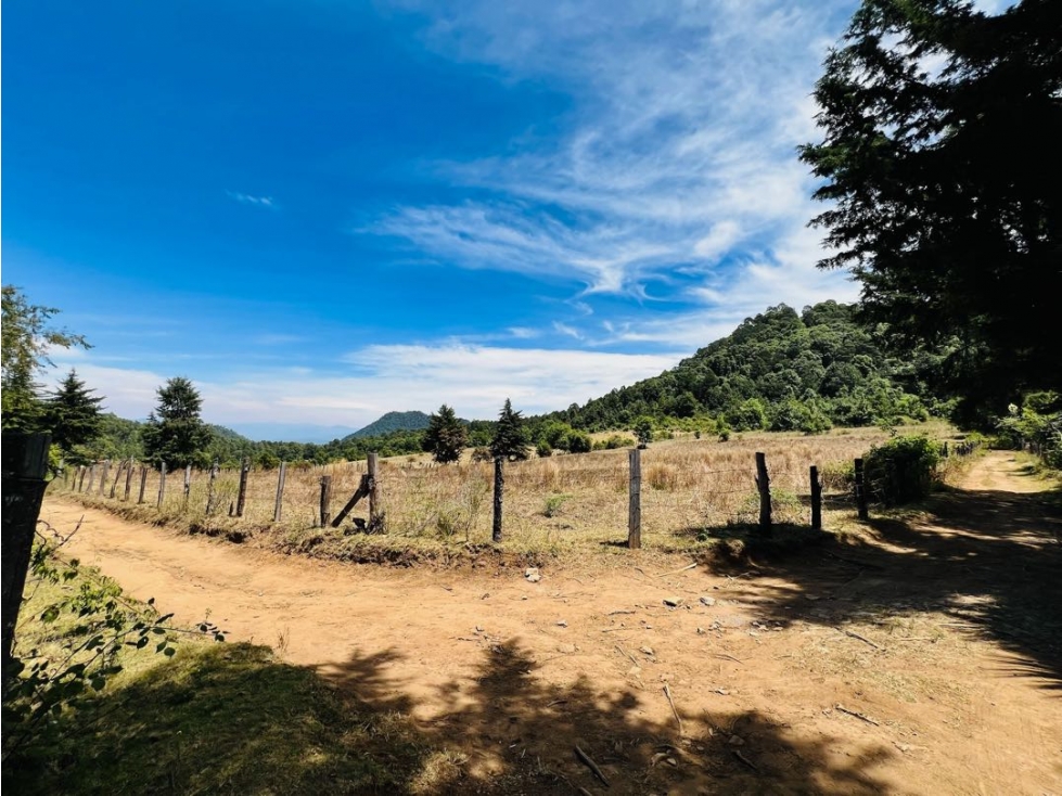 VENTA RANCHO CON AGUA DE MANANTIAL | PINAL DE OSORIOS — foto 5