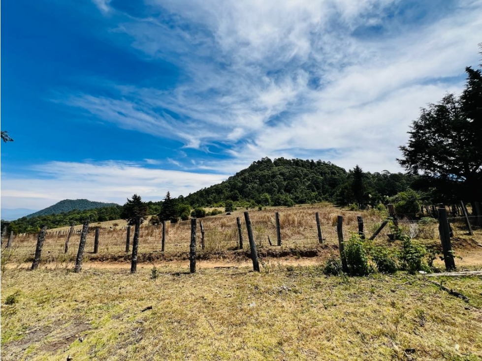 VENTA RANCHO CON AGUA DE MANANTIAL | PINAL DE OSORIOS — foto 6