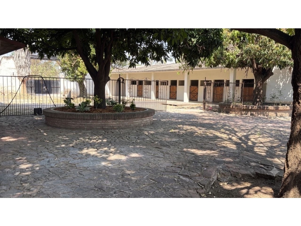 VENTA RANCHO LOS PALMARES RÍO VERDE SLP - 1