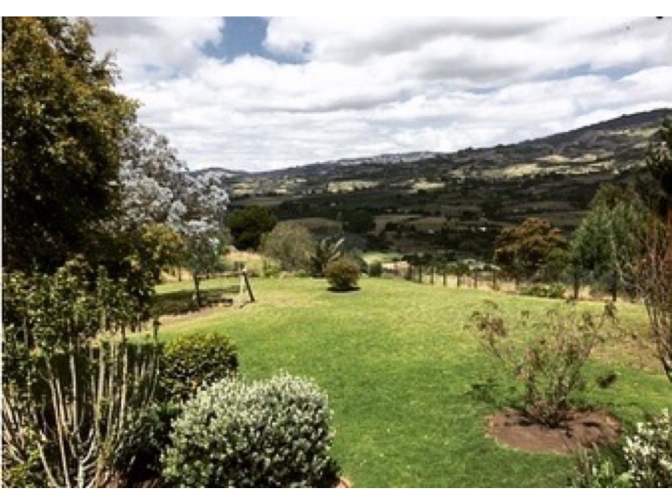 VENTA SUBACHOQUE FINCA 2 fanegadas 350mts $1.500 M - 5