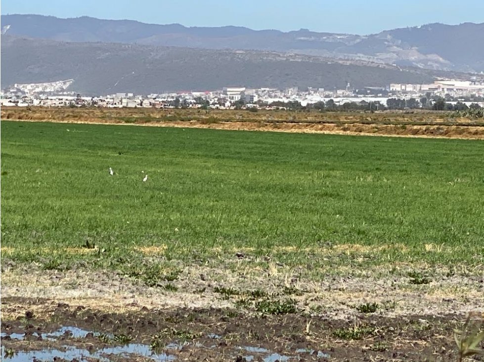 Terreno 6.5 hectáreas en Blvd. Las Torres, Pachuca Zona Explanada - 3
