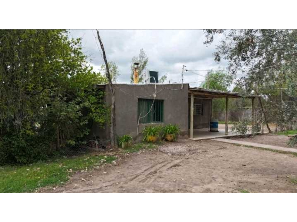VENTA TERRENO 1 HA CON 3 CASAS- JUNÍN (CENTRO), MZA - 5