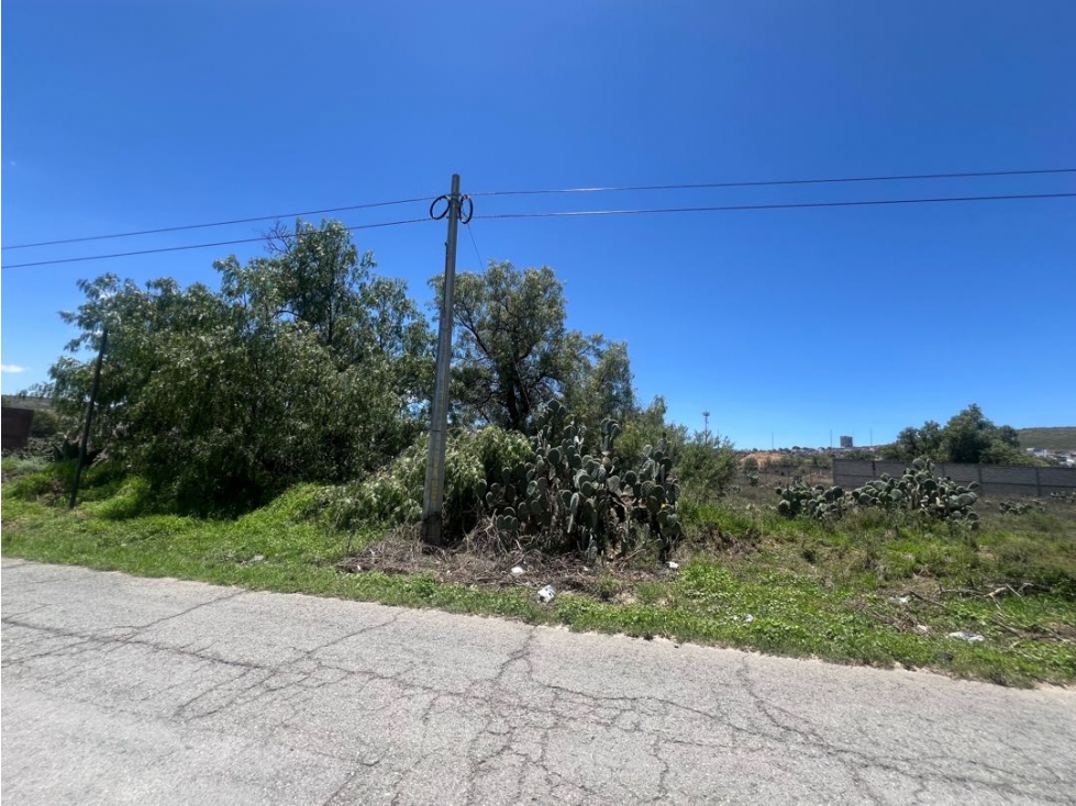 Terreno en Venta 1 Hectárea Pachuquilla, Mineral Reforma — foto 4