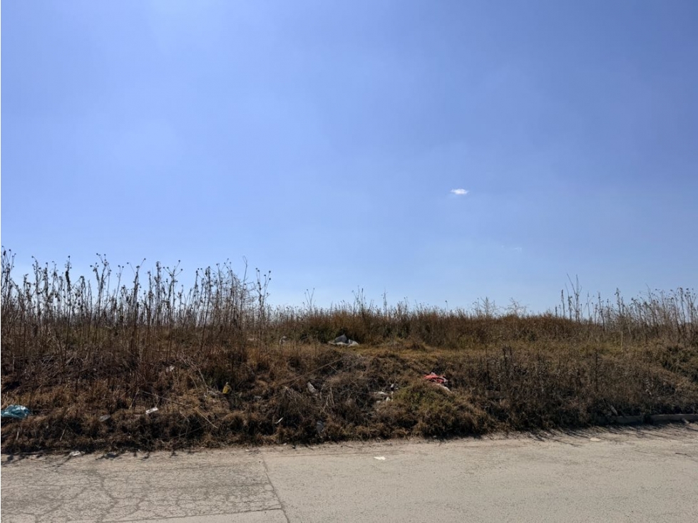 Venta Terreno 9 has Desarrollo Habitacional Tulipanes Pach — foto 4