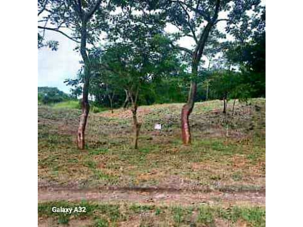 VENTA TERRENO 750m2 EXCELENTE OPORTUNIDAD, PENONOMÉ LAS LOMAS. - 2