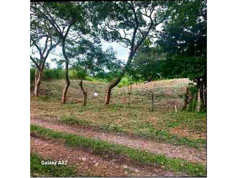 VENTA TERRENO 750m2 EXCELENTE OPORTUNIDAD, PENONOMÉ LAS LOMAS. - 3