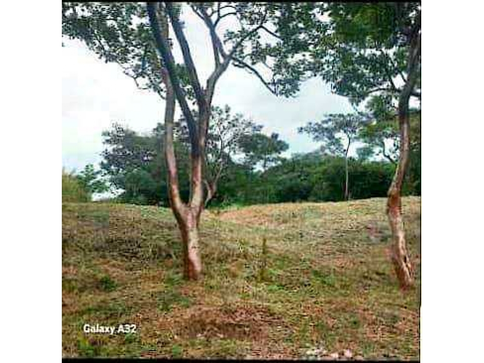 VENTA TERRENO 750m2 EXCELENTE OPORTUNIDAD, PENONOMÉ LAS LOMAS. - 4