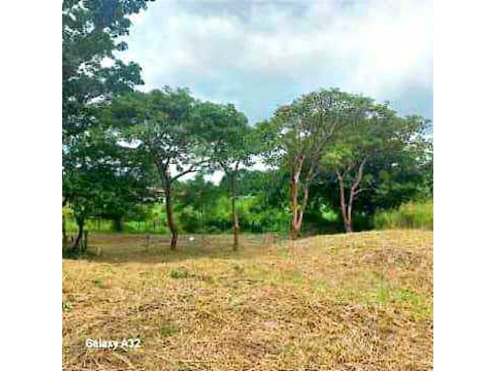 VENTA TERRENO 750m2 EXCELENTE OPORTUNIDAD, PENONOMÉ LAS LOMAS. - 5
