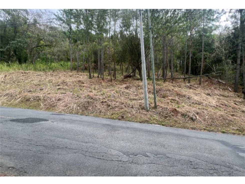 VENTA TERRENO ALTOS DEL MARÍA SÚPER PRECIO