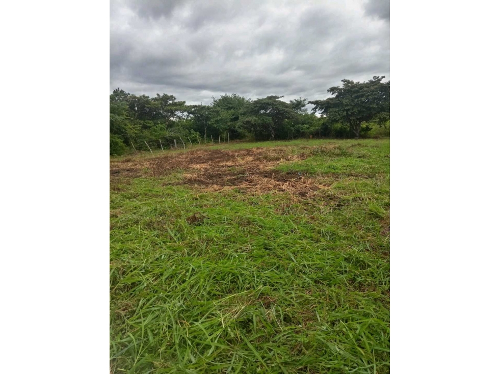 VENTA TERRENO CAÑAVERAL PENONOMÉ COCLE GRAN OPORTUNIDAD - 1