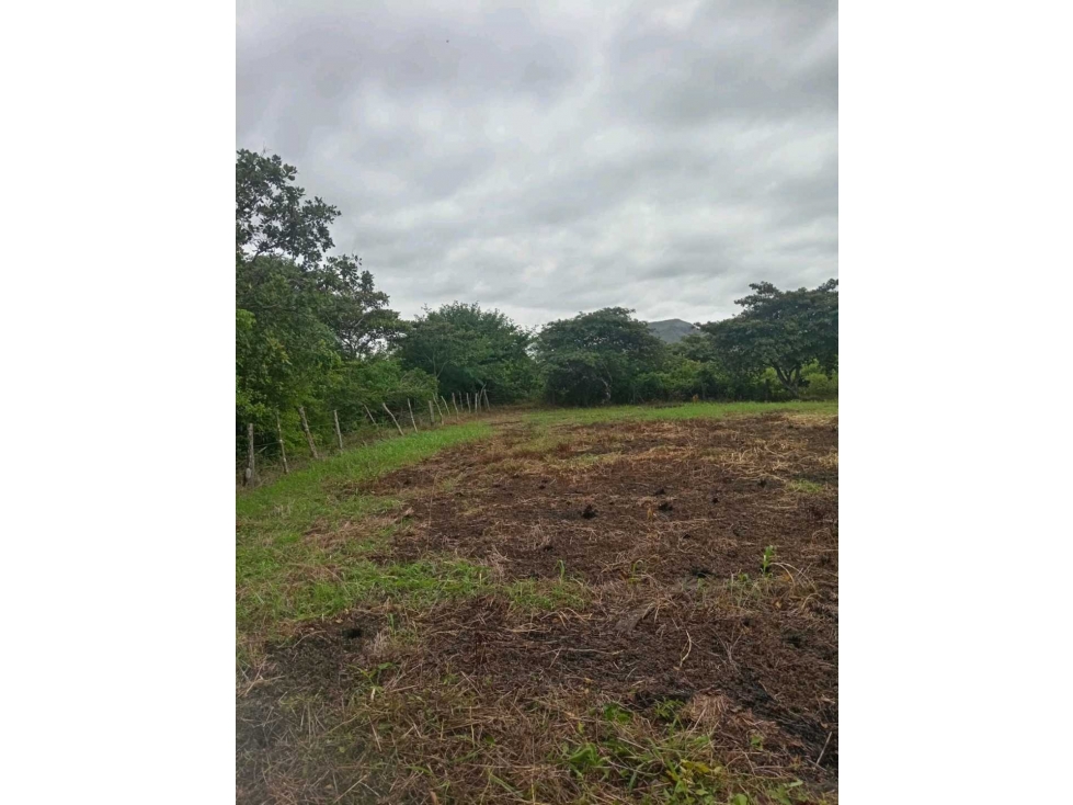 VENTA TERRENO CAÑAVERAL PENONOMÉ COCLE GRAN OPORTUNIDAD - 2