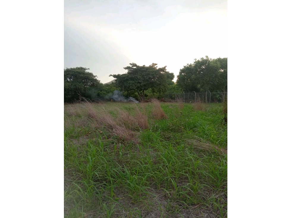 VENTA TERRENO CAÑAVERAL PENONOMÉ COCLE GRAN OPORTUNIDAD - 4