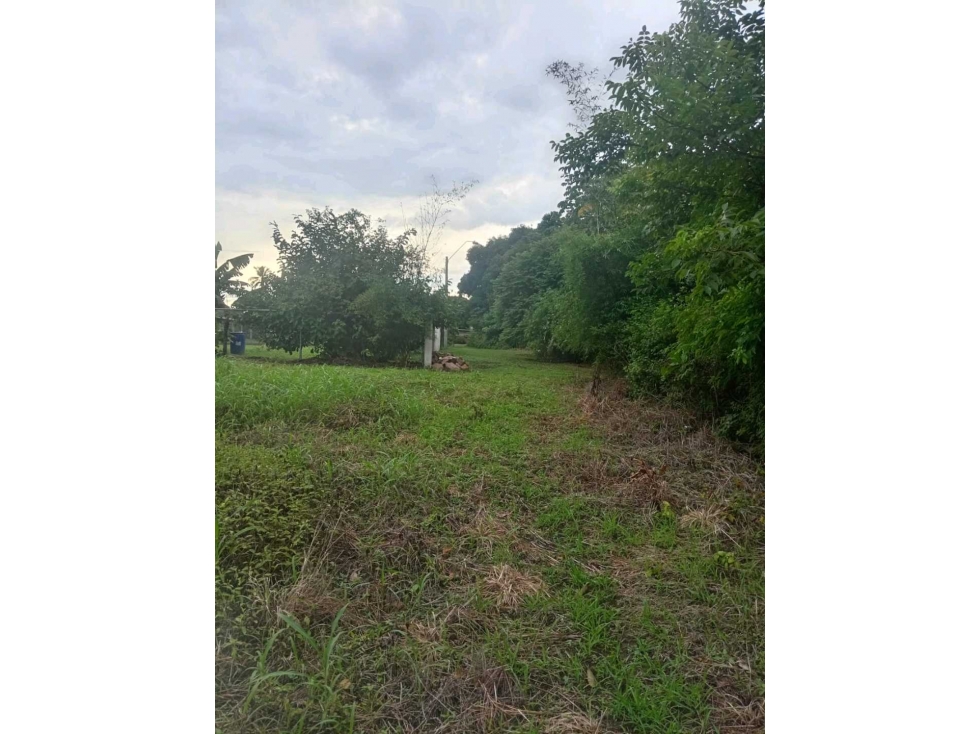 VENTA TERRENO CAÑAVERAL PENONOMÉ COCLE GRAN OPORTUNIDAD - 5