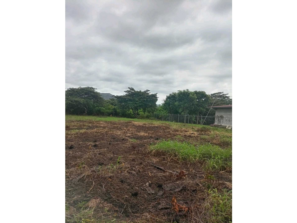 VENTA TERRENO CAÑAVERAL PENONOMÉ COCLE GRAN OPORTUNIDAD - 6