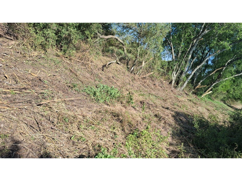VENTA - Terreno Chapotal Cadereyta-Allende - 1