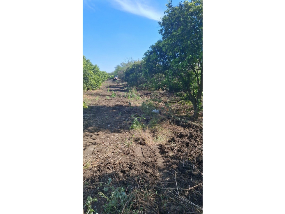 VENTA - Terreno Chapotal Cadereyta-Allende - 3
