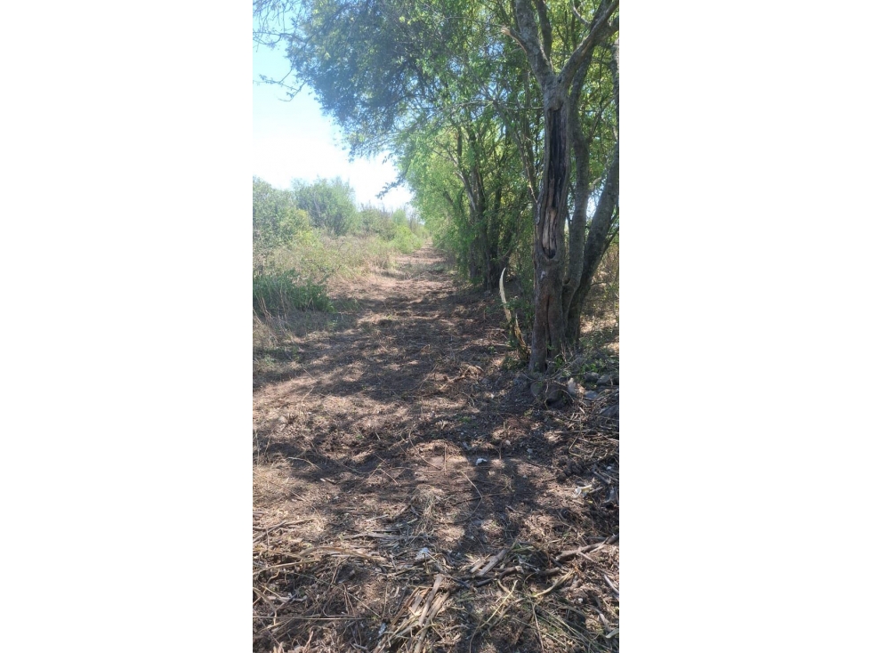 VENTA - Terreno Chapotal Cadereyta-Allende - 4