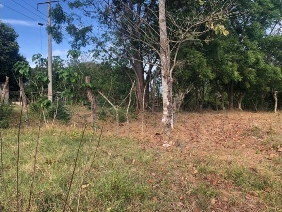 VENTA TERRENO CHITRE - SOBRE VIA - OFERTA - 2