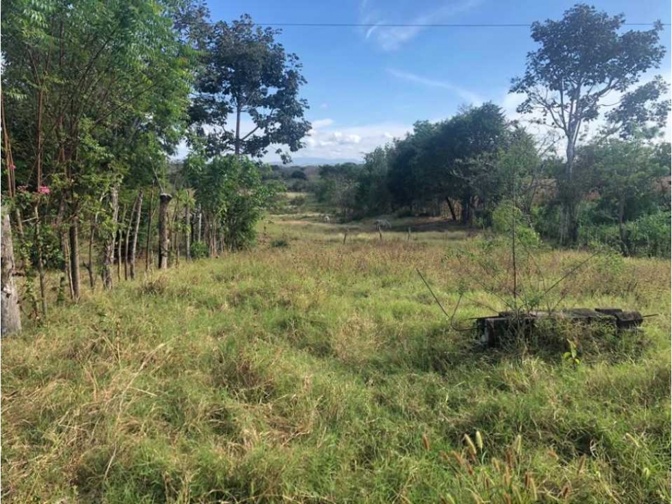 VENTA TERRENO CHITRE - SOBRE VIA - OFERTA - 3