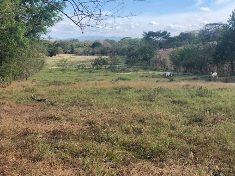 VENTA TERRENO CHITRE - SOBRE VIA - OFERTA - 4
