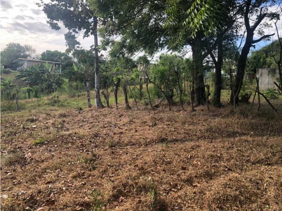 VENTA TERRENO CHITRE - SOBRE VIA - OFERTA - 5