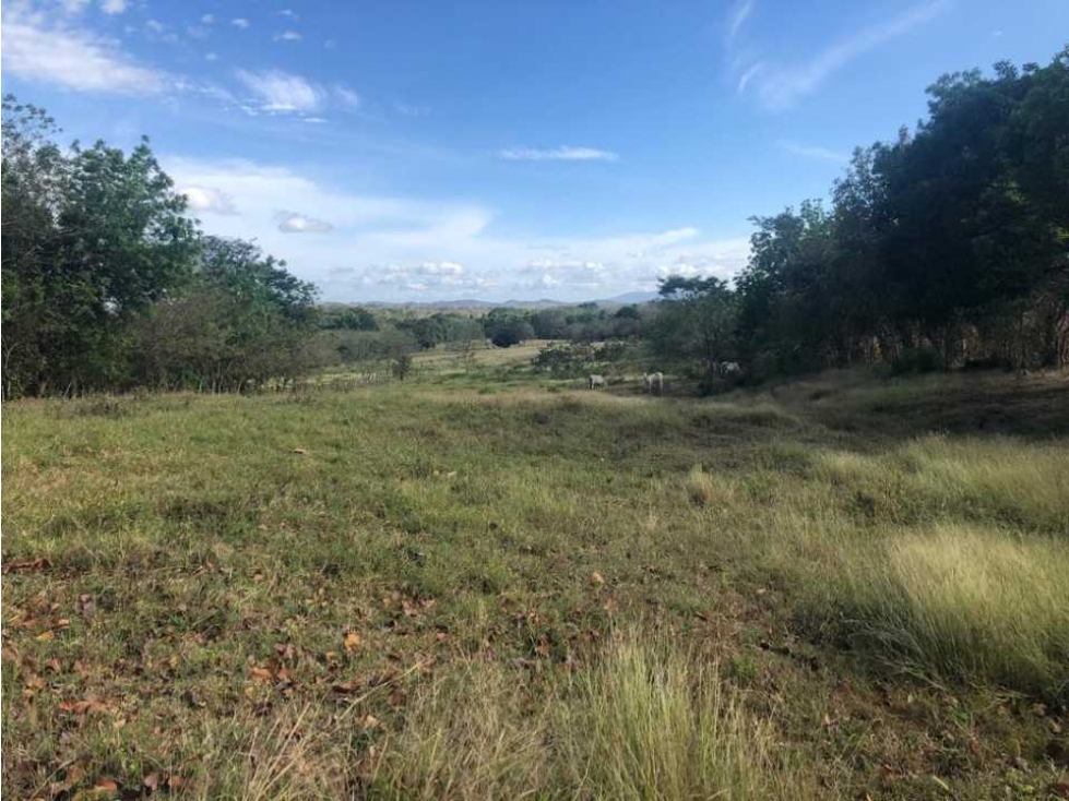 VENTA TERRENO CHITRE - SOBRE VIA - OFERTA - 6