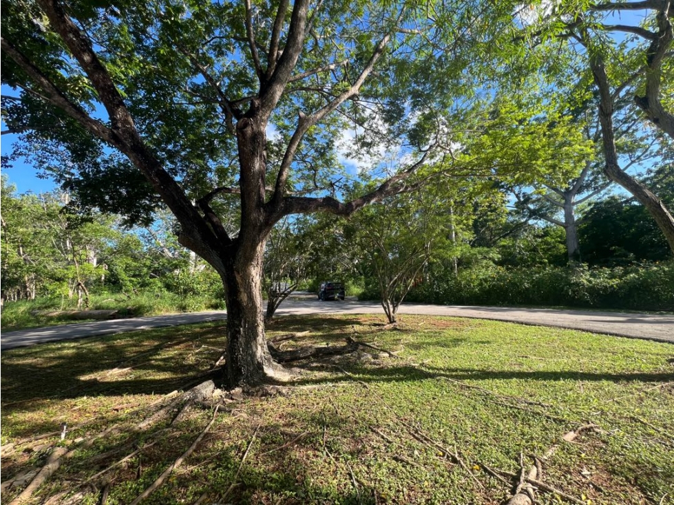 Venta Terreno Club de Golf La Ceiba Mérida - 1