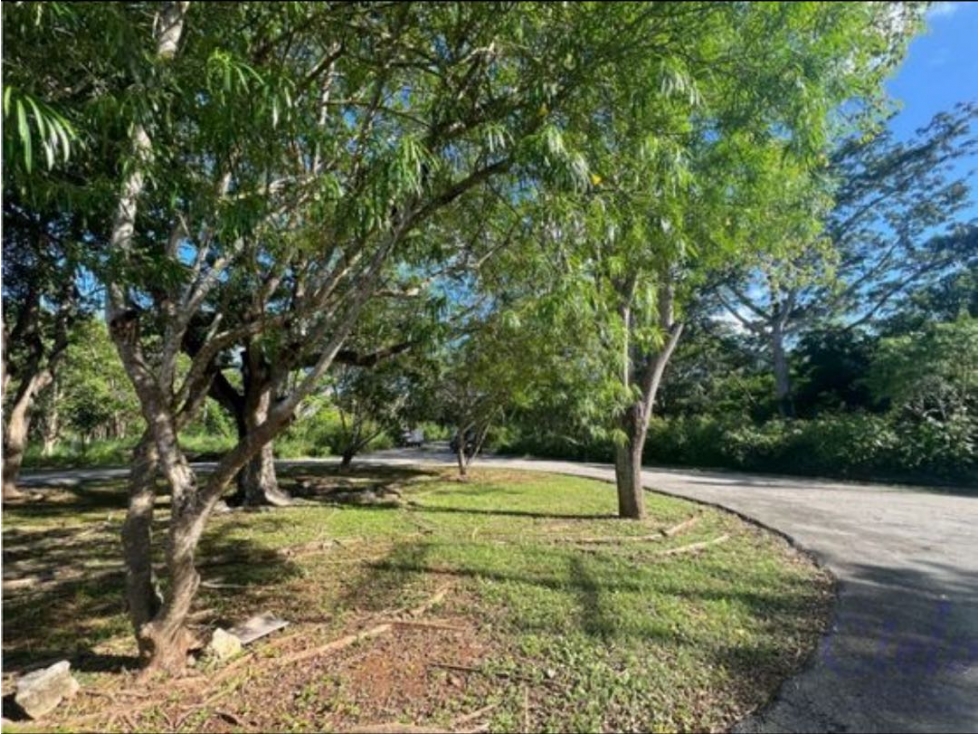 Venta Terreno Club de Golf La Ceiba Mérida Yucatán — foto 2