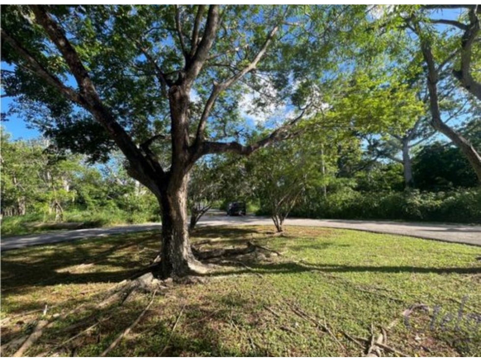 Venta Terreno Club de Golf La Ceiba Mérida Yucatán — foto 3